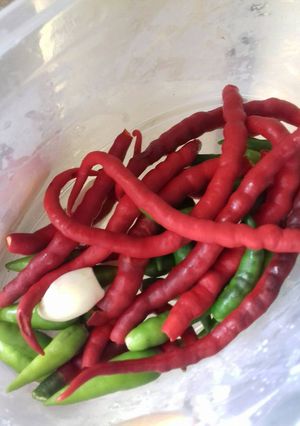 Foto resep Tips cara menyimpan cabai