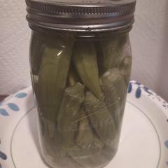 A picture of Pickled Okra the blanching method.