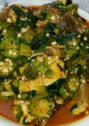 A picture of Okra and Bitter leaf Soup.
