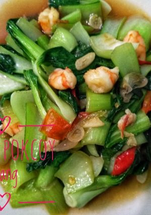Foto resep Tumis pokcoy udang