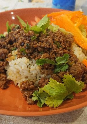 A picture of Asian Beef Bowls.