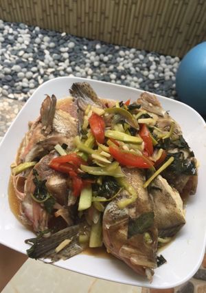 Foto resep Ikan kerapu tim