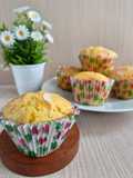 Cheese Muffin Yogurt Mozzarella