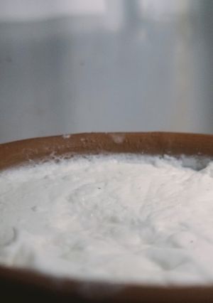 A picture of Homemade Curd /Dahi.