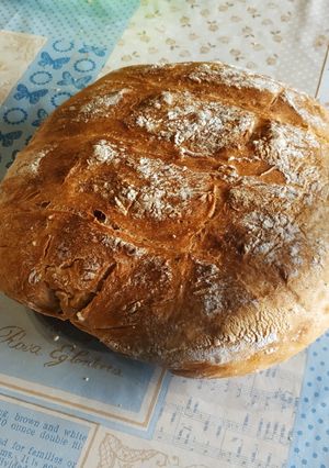 Foto principal de Pan de pueblo en panificadora y horno con poolish