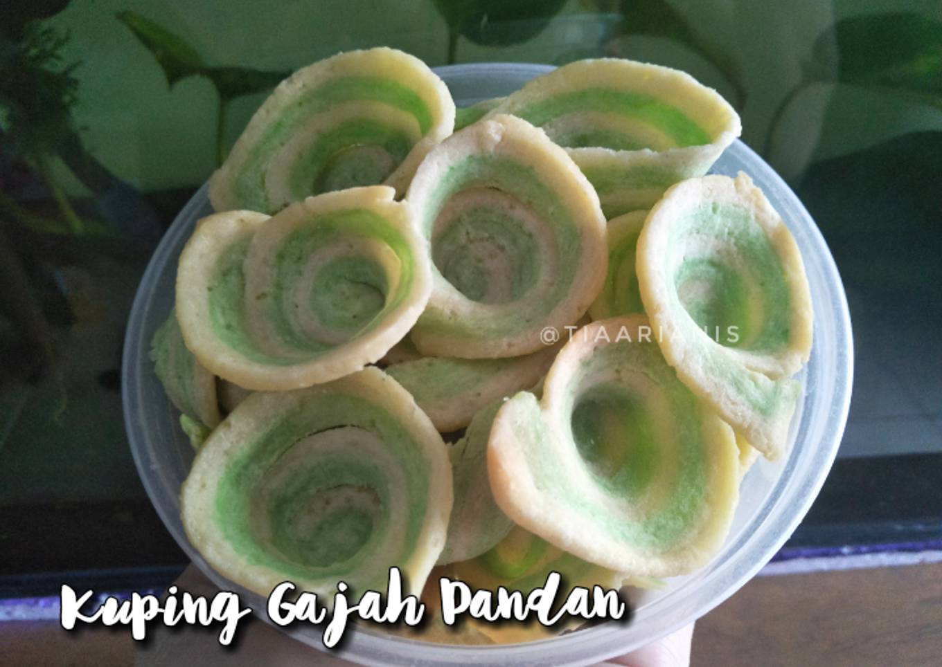 62. Kue Kuping Gajah