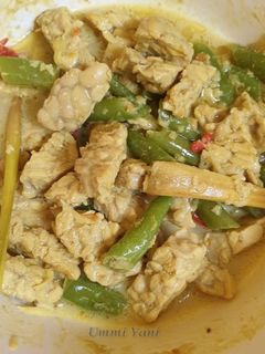 Foto resep Sayur Santan Tempe Buncis