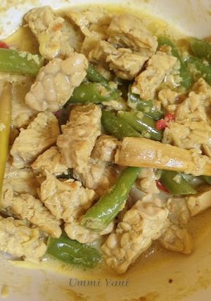 Foto resep Sayur Santan Tempe Buncis