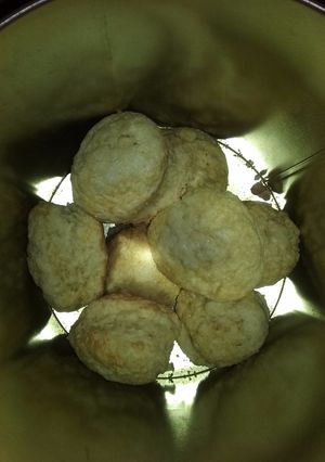 Una foto de Scons fáciles