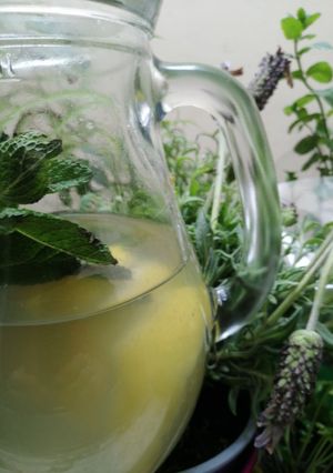 Une photo de Jus citron menthe🍋fraicheur d'été