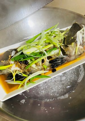豆鼓蒸龍膽石斑 的食譜成品照片