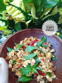 Foto resep Sambel Tempe Kemangi