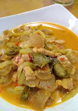 Foto resep Sayur Manisa (Labu Siam) - Krecek Sapi Bumbu Kuning Pedas