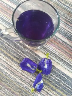 Foto resep Teh Bunga Telang Madu