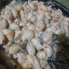 A picture of White sauce pasta 🥘.
