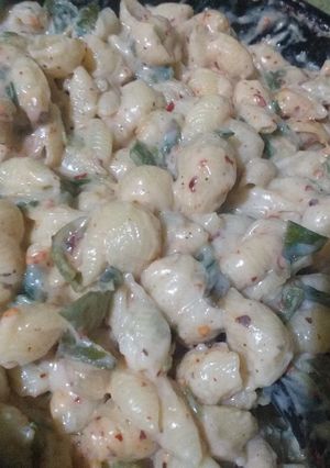 A picture of White sauce pasta 🥘.