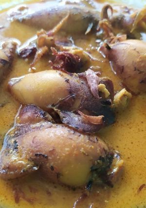 Foto resep Gulai Cumi Tahu