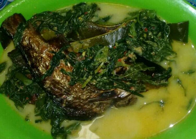 Bahan-bahan Gulai salai patin 😄 yang enak Untuk Jualan