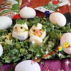 A picture of Egg chicks.