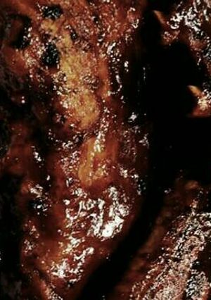 A picture of Beef ribs marinade.
