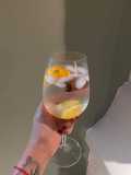 Gin Tonic Perfecto🍹