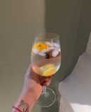 Gin Tonic Perfecto🍹
