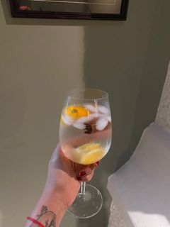 Una foto de Gin Tonic Perfecto🍹