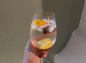 Una foto de Gin Tonic Perfecto🍹