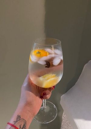 Una foto de Gin Tonic Perfecto🍹