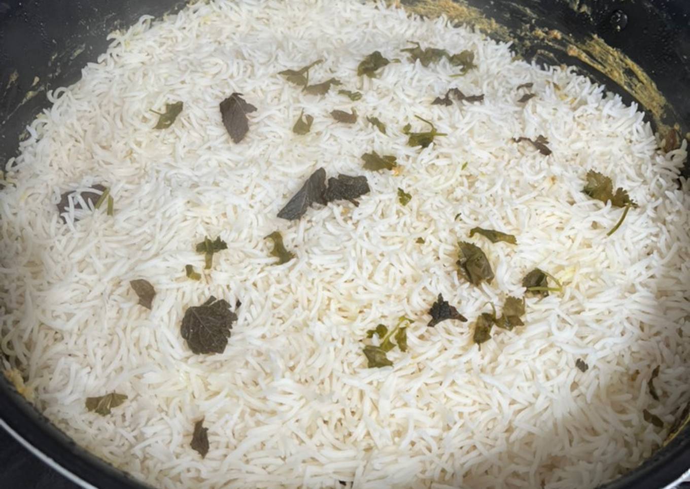 Hyderabadi chicken dum biryani