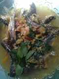 lundu kelo merico