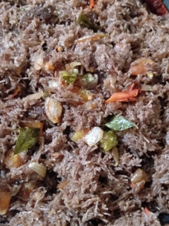 ராகி சேமியா (Ragi semiya recipe in tamil) செய்முறை முக்கிய புகைப்படம்