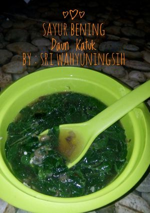Foto resep Sayur Bening Daun Katuk Simple