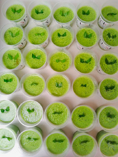 Foto resep Puding Lumut Pandan Suji