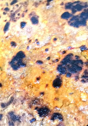 A picture of Daal ka Parantha.