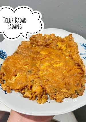 Foto resep Telur Dadar Padang