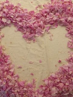 عکسی از دستور عشقم، گل محمدی❤