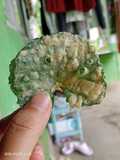 Keripik rendeng/ pegagan