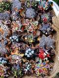 كوكيز رأس السنة - New Year's Cookies
