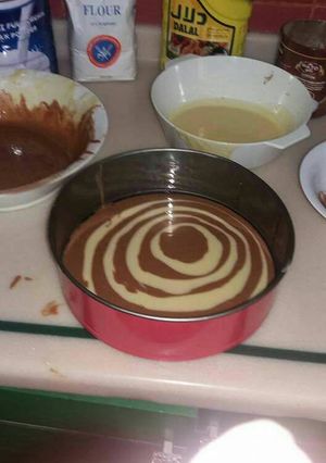 A picture of Zebra cake.