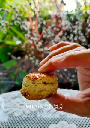【寶寶玩烘焙】英式蔓越莓司康 的食譜成品照片