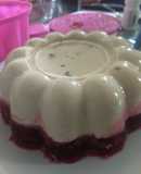 Gelatina de Philadelphia