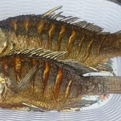 A picture of Deep fried Tilapia.