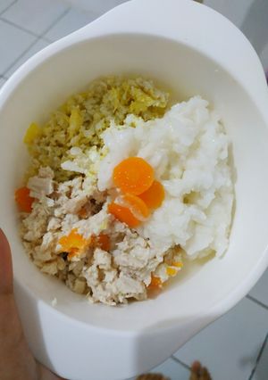 Foto resep MPASI Tim ayam lengkap