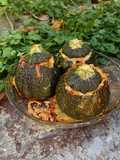 Calabacines luna rellenos