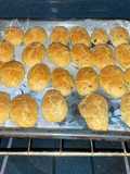 Pan de especie