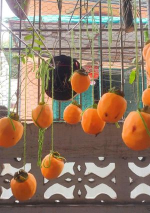 Hình của món Hồng treo gió.