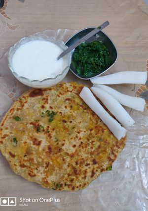 मूली का पराठा (Mooli ka paratha recipe in Hindi) रेसिपी मुख्य फोटो