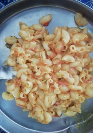 A picture of Macaroni.