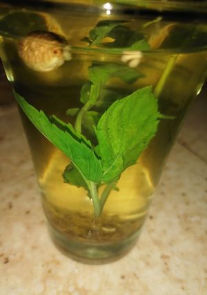 A picture of Ajwain Tea for bloated stomach.